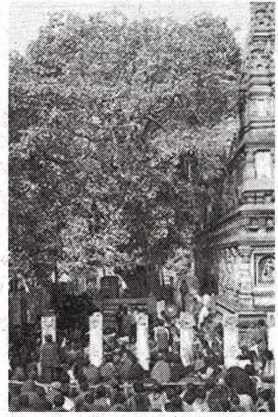 d32e7b7cc77b53cbb53360baf739e4ec_1581829719_0204.jpg