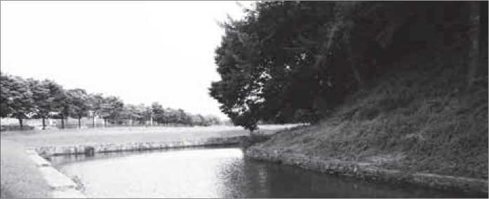 d32e7b7cc77b53cbb53360baf739e4ec_1581840906_3677.jpg